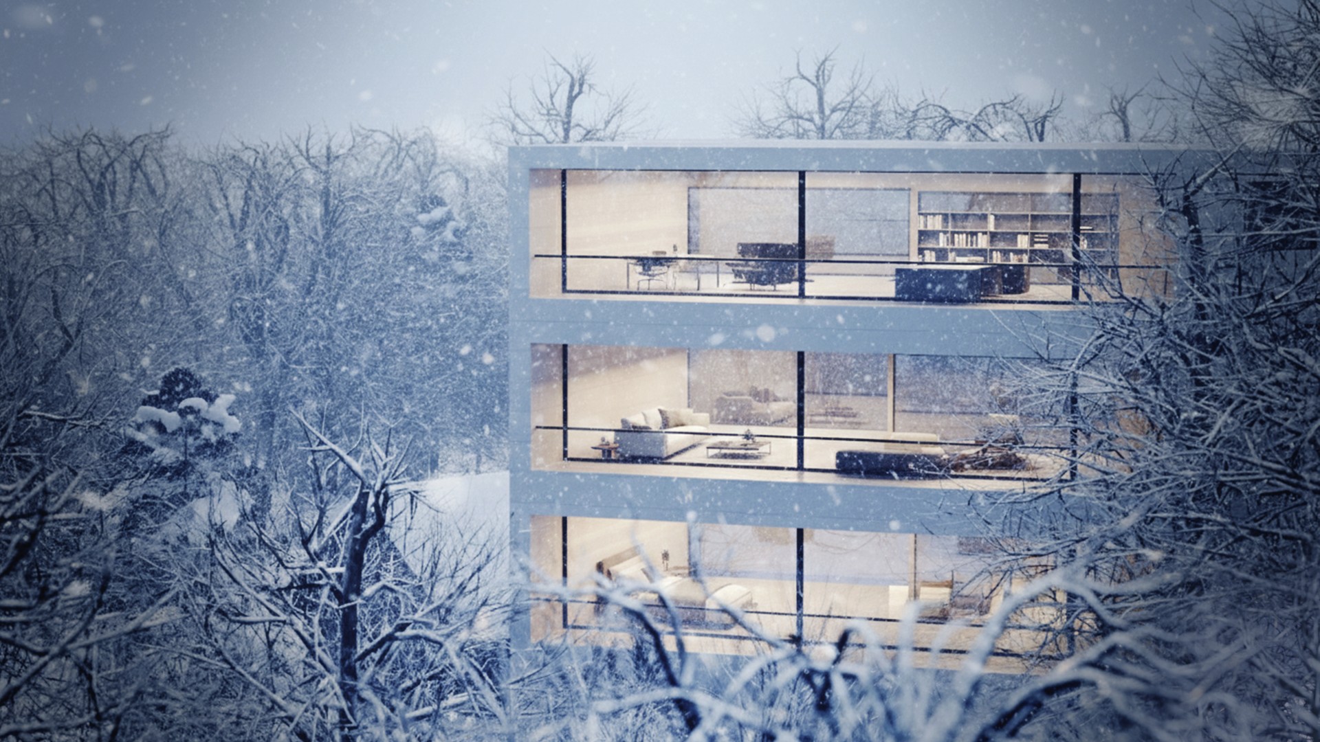 Interior and Transparency